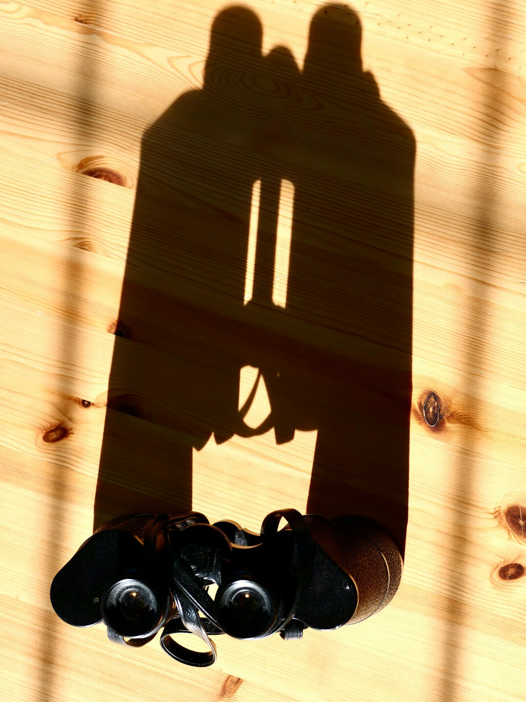 shadowy swiss investigator