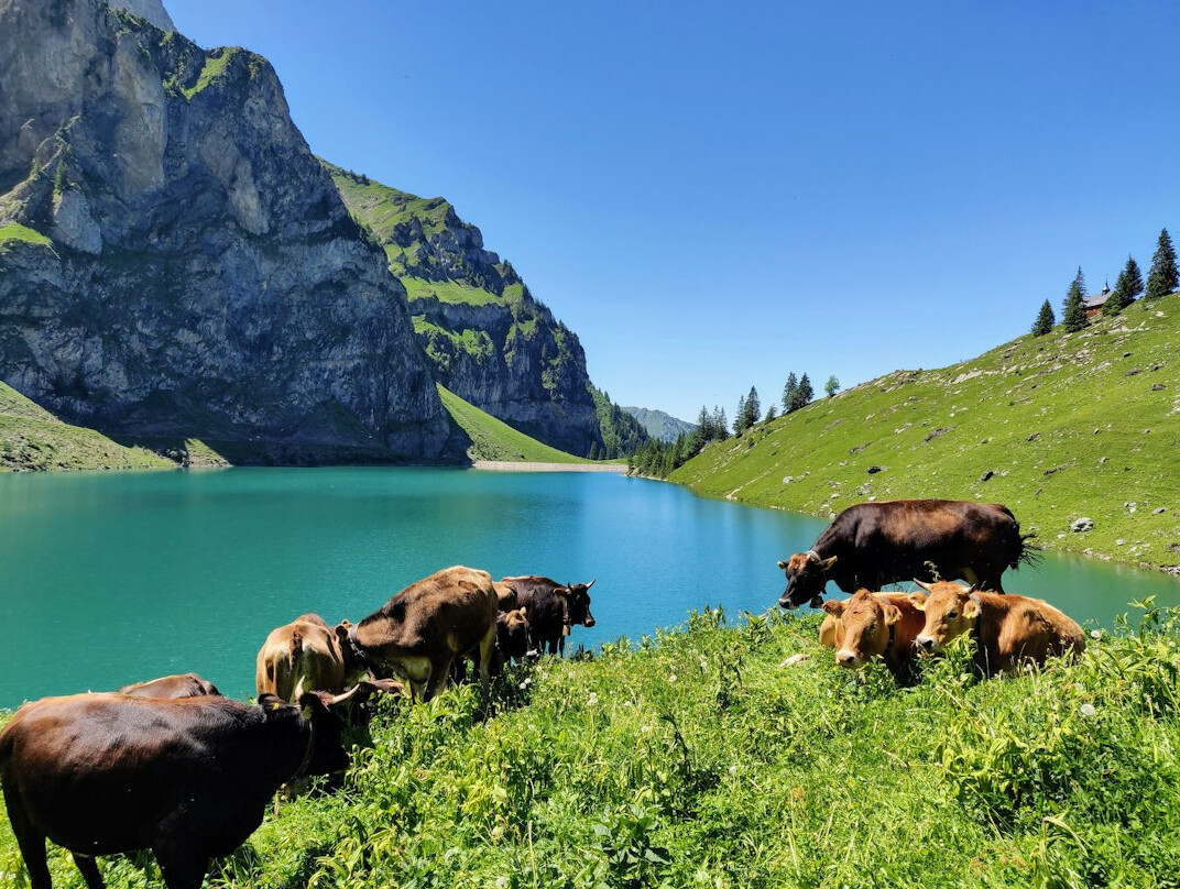 swiss lake environmental check